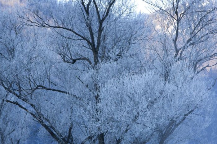 Ilustračný obrázok k článku Zima ako má byť? Meteorológovia s novou výstrahou pre okres Žilina