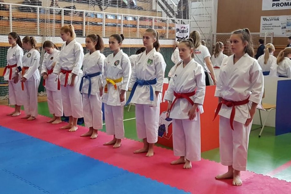 Ilustračný obrázok k článku Sedemnásť medailí pre našich na Karate Grand Prix Žilina 2019, FOTO