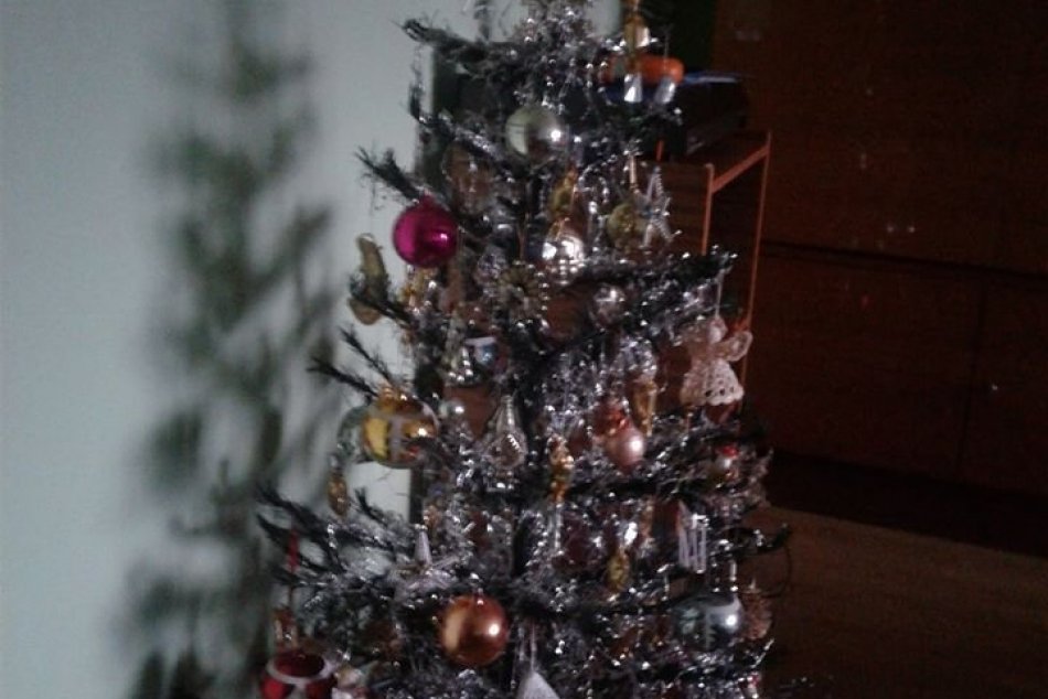 Nazrite do obývačiek Žilinčanov: GALÉRIA vianočných stromčekov