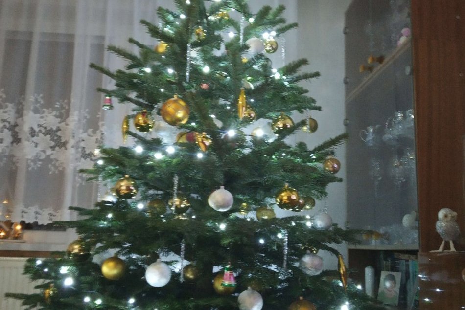 Veľká GALÉRIA: Žilinčania sa pochválili svojimi vianočnými stromčekmi